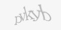 Захисний код