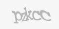 Захисний код