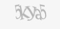 Захисний код