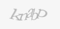 Захисний код