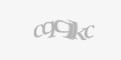 Захисний код
