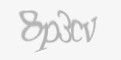 Захисний код